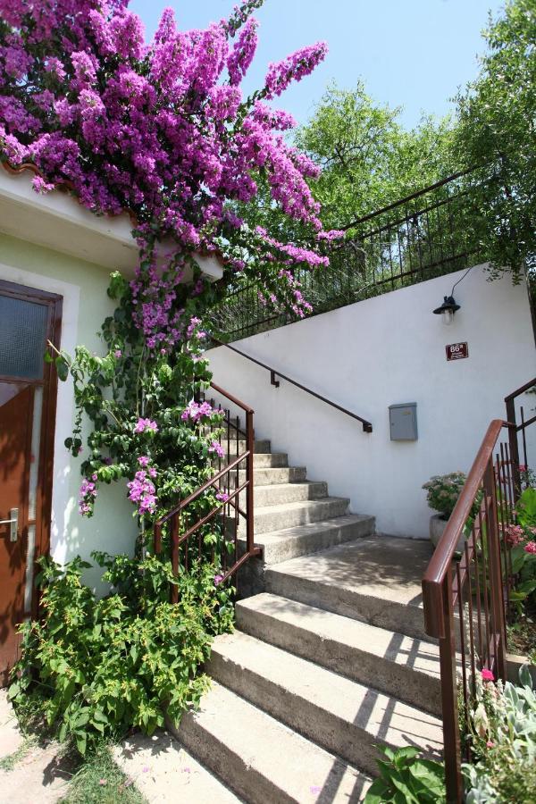 Bozena Studio Kneb Порторож Екстер'єр фото